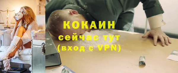 стаф Волоколамск